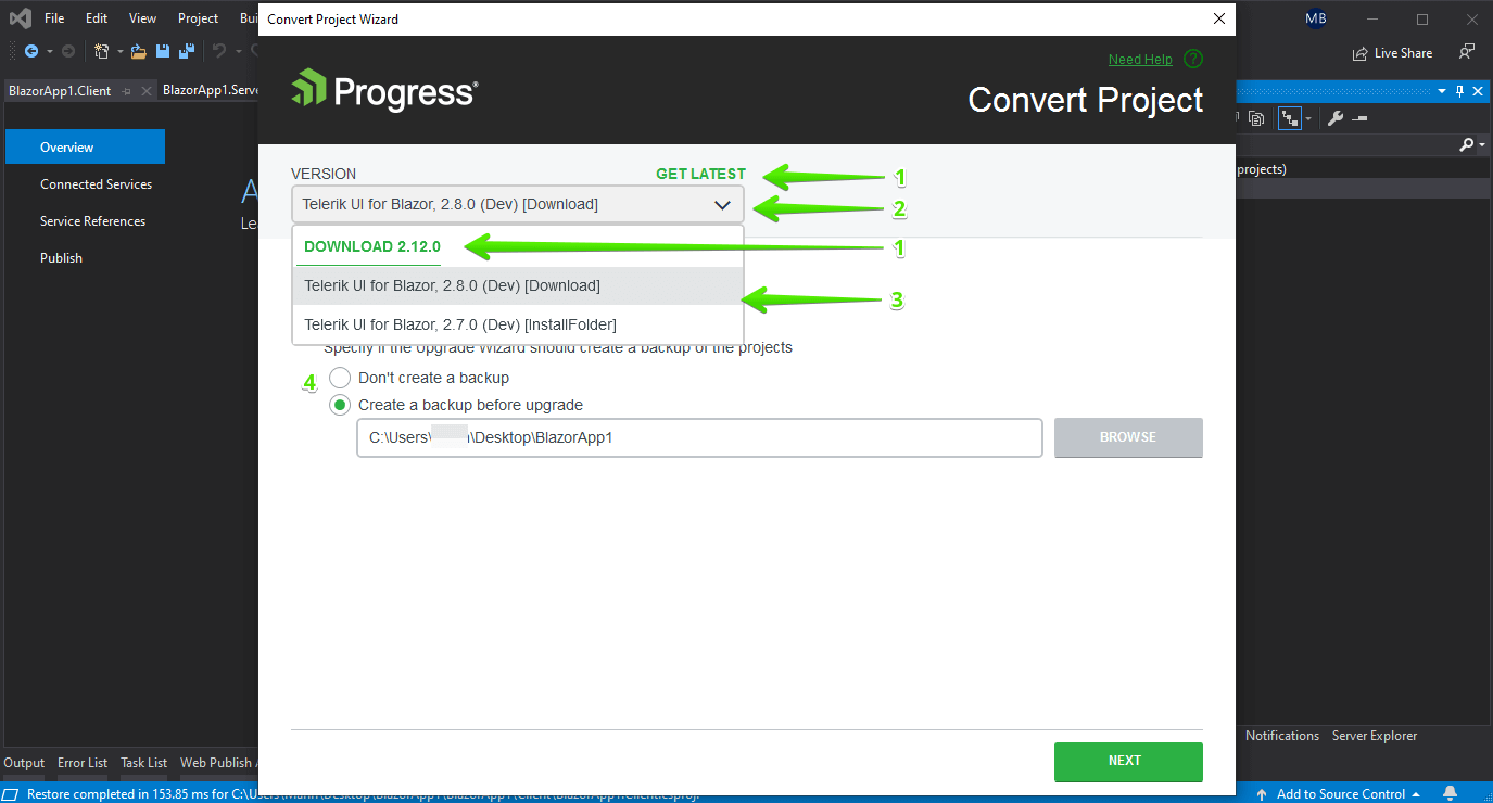 The Convert Project Wizard Options