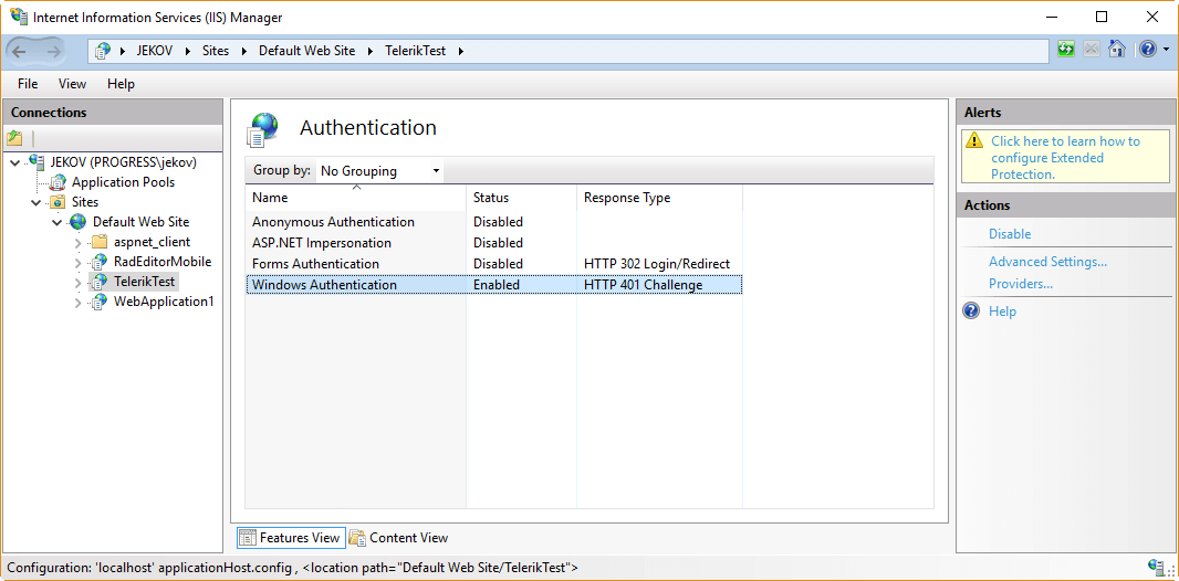 Enabled Windows Authentication in IIS