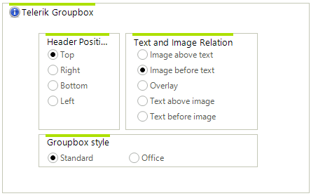 WinForms RadGroupBox Overview