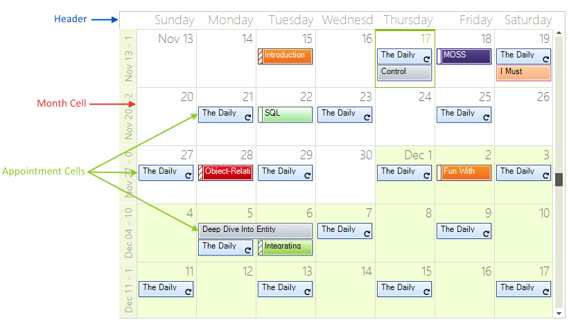 WinForms RadScheduler Month View