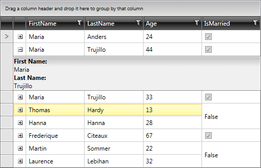 Merged Cells Telerik Ui For Wpf