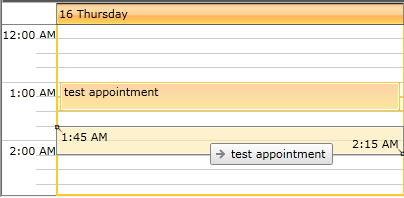 radscheduleview snapappointments 2
