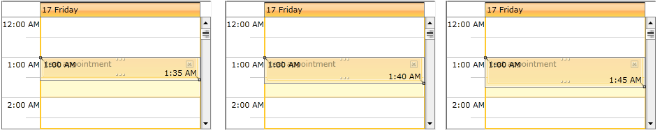 radscheduleview snapappointments 3