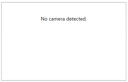 WPF RadWebCam No Camera Detected Error