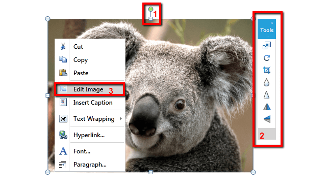 Rad Rich Text Box Features Editing Images 01