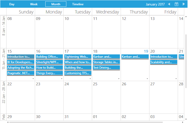 RadScheduleView with Windows8 theme