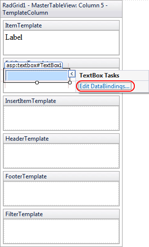 telerik radgrid edit template validation process
