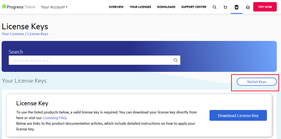 NuGet Keys from License Keys
