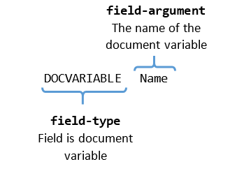 Rad Words Processing Concepts Document Variables 01