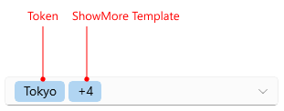 ComboBox Multiple Selection Visual Structure