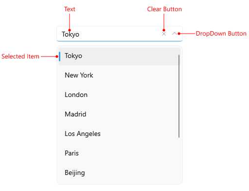 ComboBox Single Selection Visual Structure