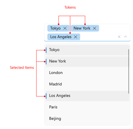 ComboBox DropDown Multiple Selection Visual Structure