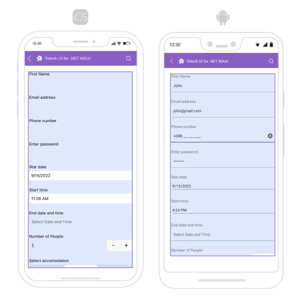 .NET MAUI DataForm Styling