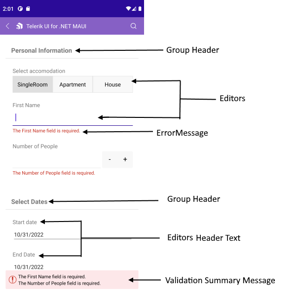 .NET MAUI DataForm Visual Structure