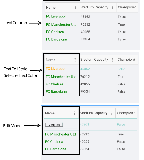 DataGrid Text Column