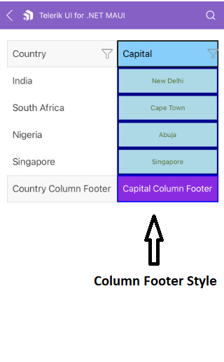 DataGrid Column Footer