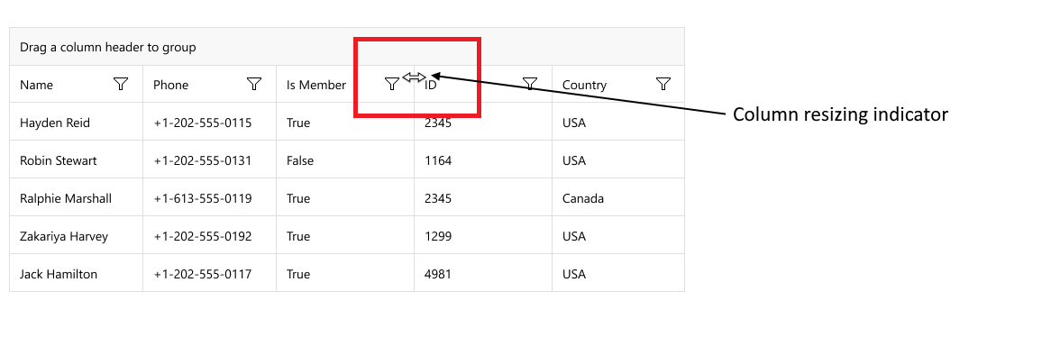 DataGrid Column Resizing