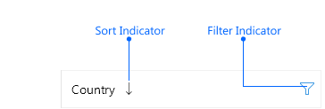 Telerik DataGrid Filtering and Sorting indicators