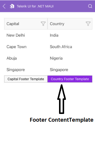 .NET MAUI DataGrid Column Footer Template