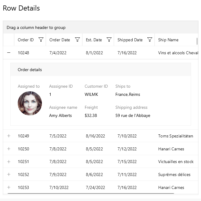 DataGrid Row Details Overview