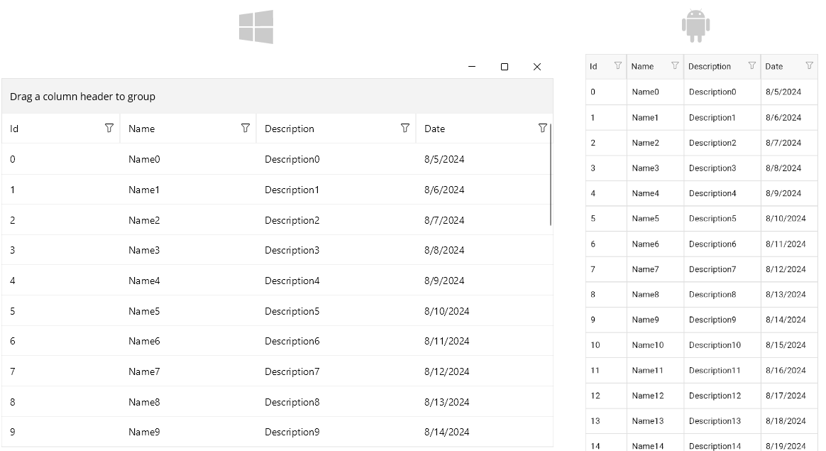 .NET MAUI DataGrid Page