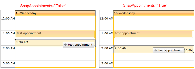 radscheduleview snapappointments 1