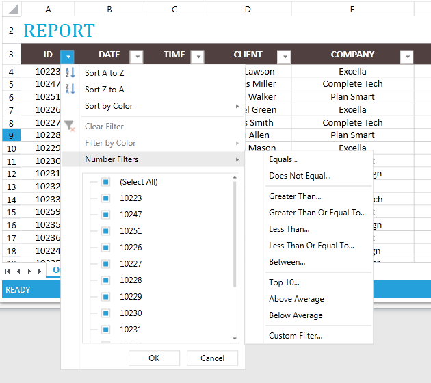 Rad Spreadsheet UI Filtering 02