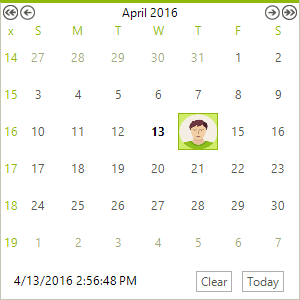 WinForms RadCalendar With a Picture Box Added to a Cell