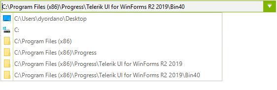 WinForms RadBreadCrumb Sample Overview