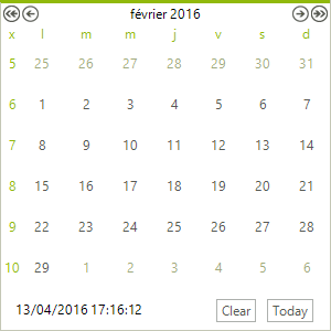 WinForms RadCalendar With French culture