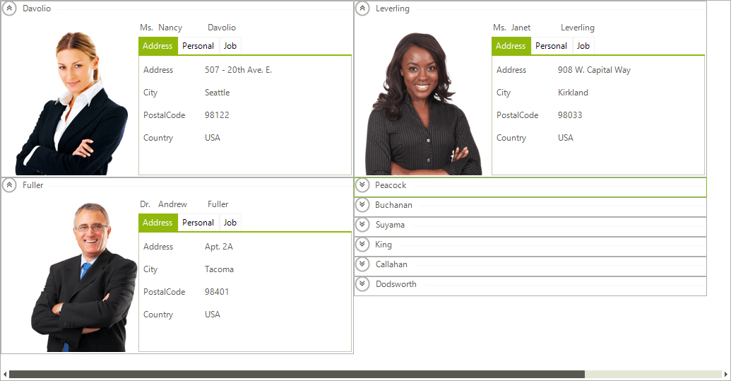 WinForms  RadCardView Overview