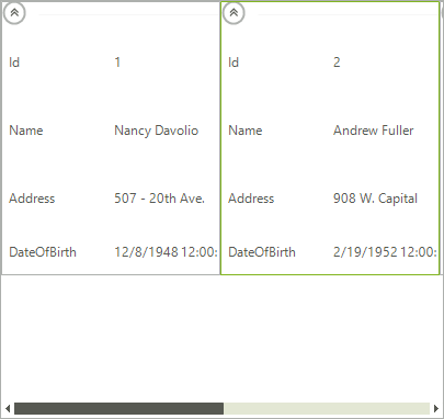 WinForms RadCardView Bound at Run-Time