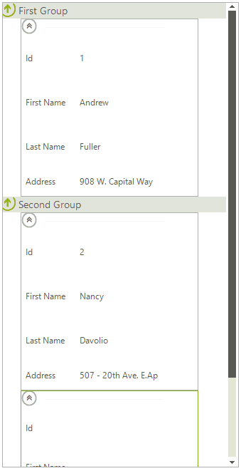 WinForms RadCardView Add Grouped Items at Run Time