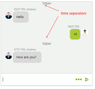 WinForms RadChat Time Separator Message