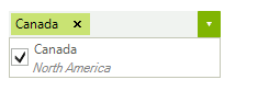 WinForms RadCheckedDropDownList Sample DescriptionTextCheckedListDataItem