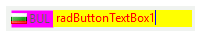 WinForms RadButtonTextBox Customize elements