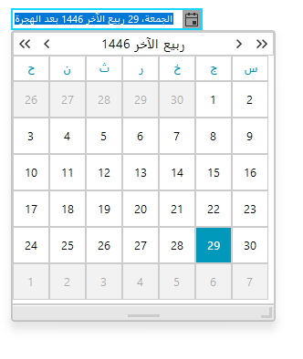 WinForms RadDateOnlyPicker Setting Arabic Culture