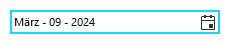 WinForms RadDateTimePicker Using Custom Format