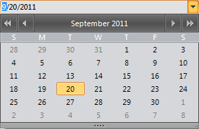 WinForms RadDateTimePicker With The Office00Black Theme