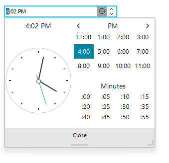 WinForms RadTimeOnlyPicker Expanded