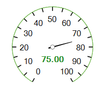 WinForms RadialGaugeSingleLabel Format