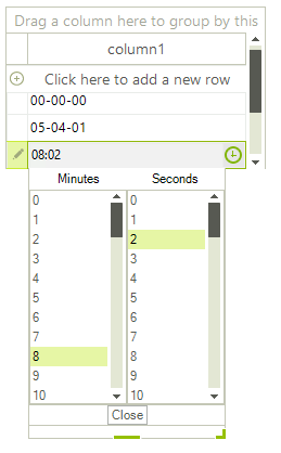 WinForms RadGridView GridViewTimeSpanColumn Formatted editor's value