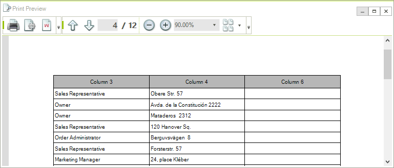 WinForms RadGridView PrintPreview Page 4