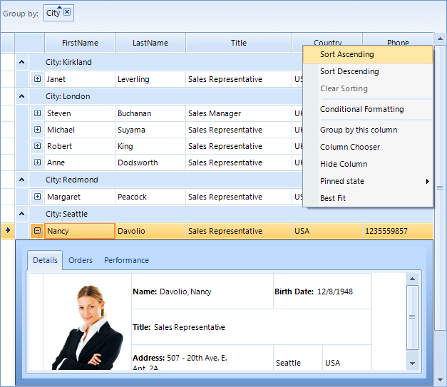 WinForms RadGridView Control Default theme