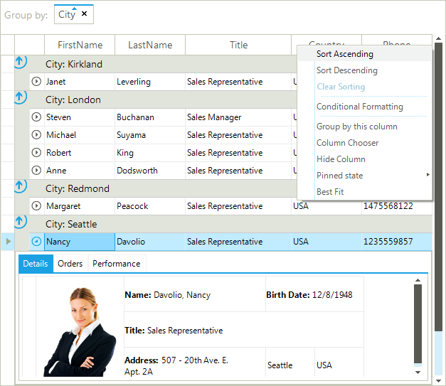 WinForms RadGridView Telerik Metro Blue theme