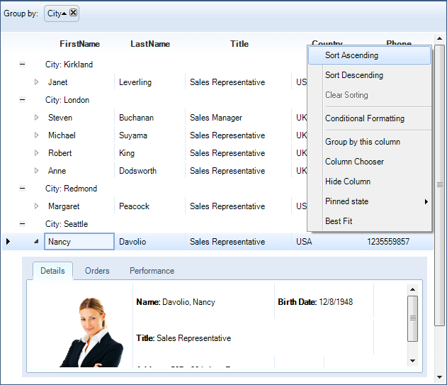 WinForms RadGridView Windows7 theme