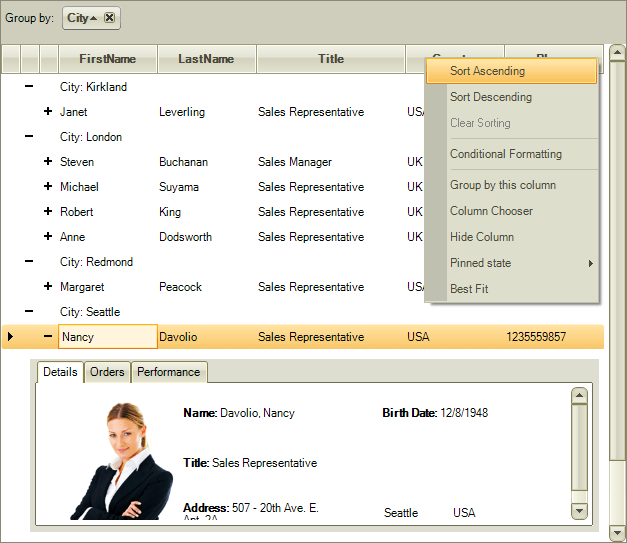 WinForms RadGridView Desert theme