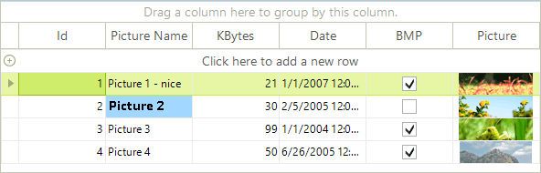 WinForms RadGridView Format Style Property