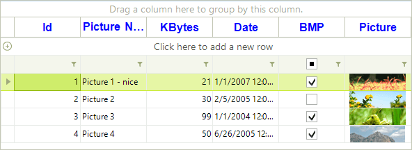 WinForms RadGridView Formatting non-data rows