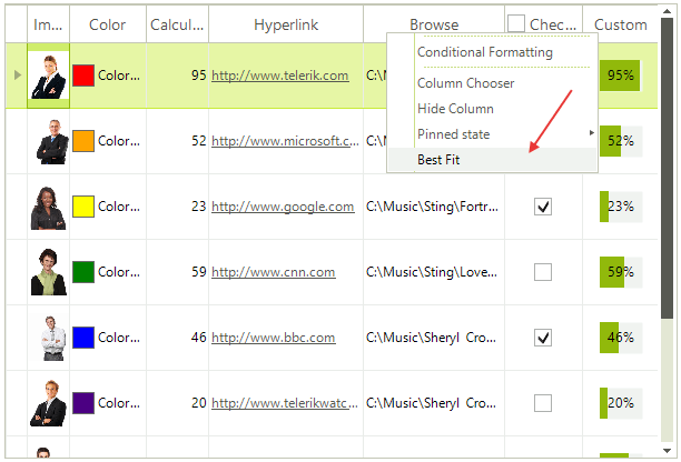 WinForms RadGridView Best Fit